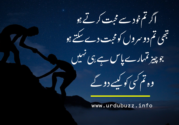 Urdu Quotes about success 3